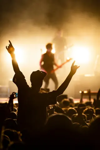 Concerts & shows